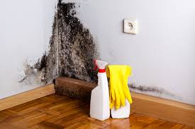 Best Dehumidification Services  in Mount Sinai, NY